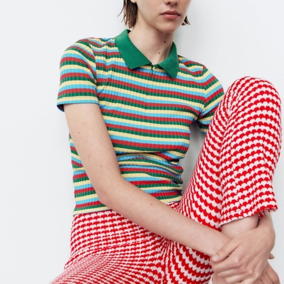 Zara | Multicolored Striped Ribbed Polo - Picture 2 of 13